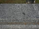 image of grave number 858326